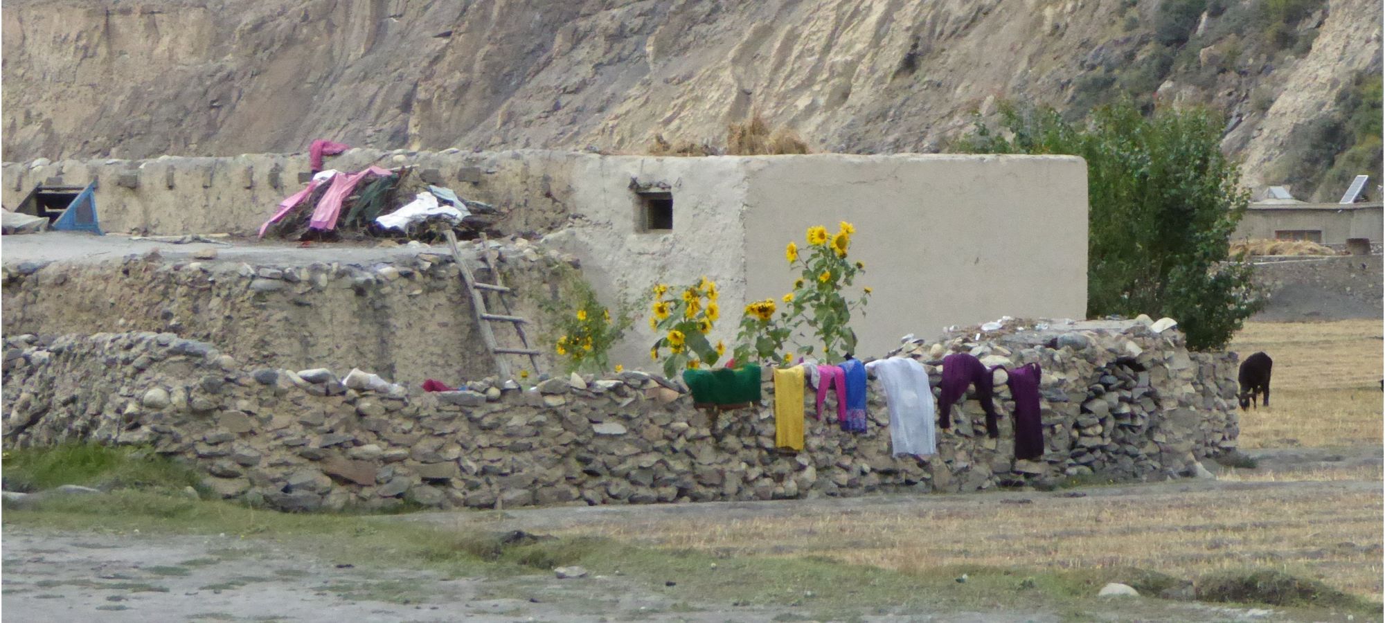  Shimshal 
